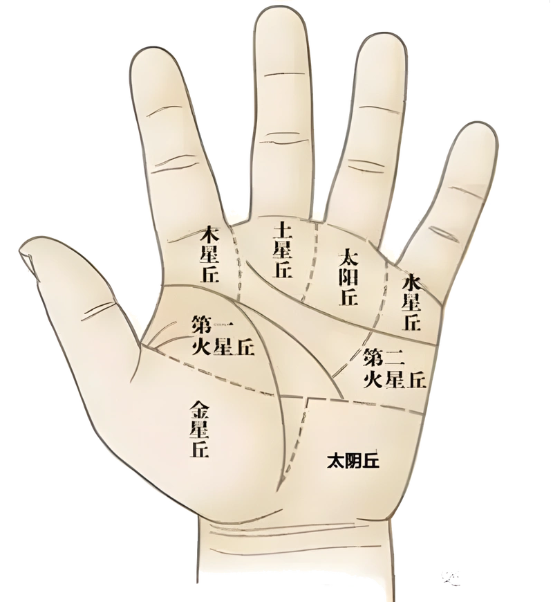 手相第七课——掌纹