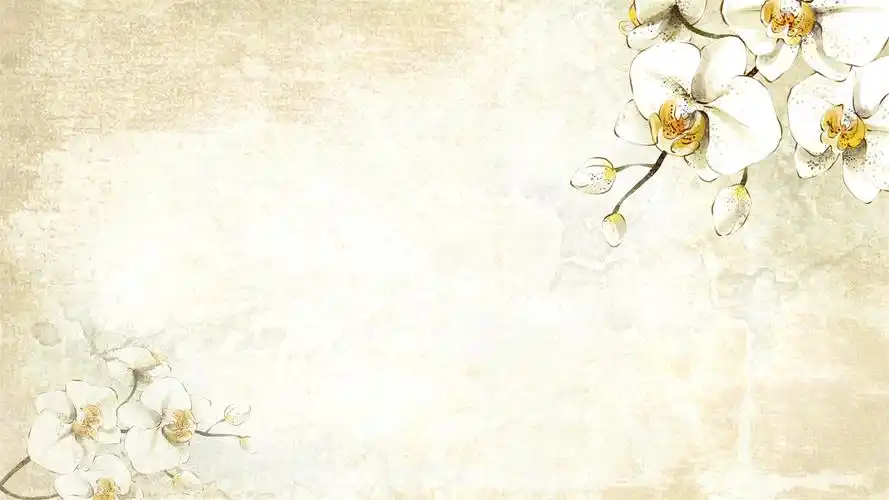 八张唯美水彩花卉幻灯片ppt模板素材免费下载-背景图片-艾奥云素材