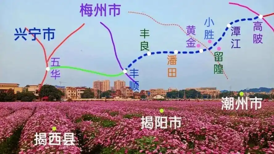 大丰华高速又有新规划了!_丰顺县_线路_大埔县