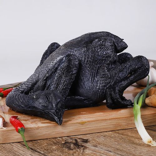 新鲜乌鸡挑选,新鲜乌鸡挑选视频