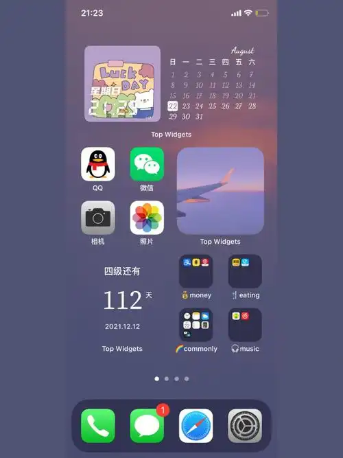 iphonexsios14系统桌面小组件整理