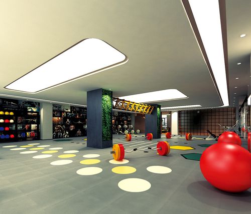 健身房室内设计案例效果图 锻炼 设备 休闲 训练 健身 机器 室内