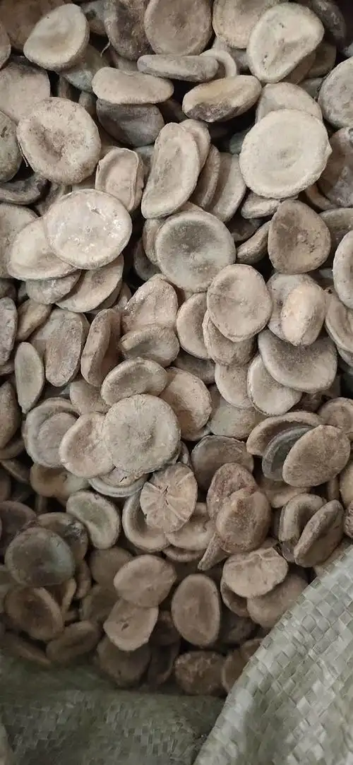 选马钱子多少钱一斤