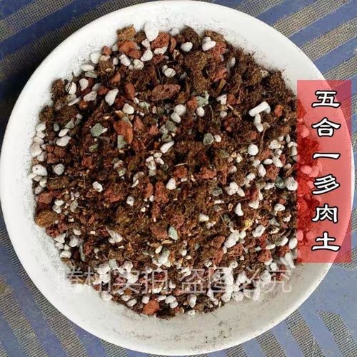 营养土丹麦品氏基质自制土珍珠岩蛭石三五合一通用型多肉土种植土