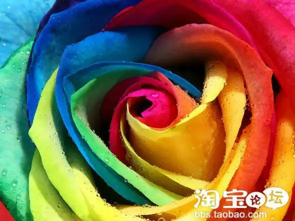 与"生活"有关的灯饰风水