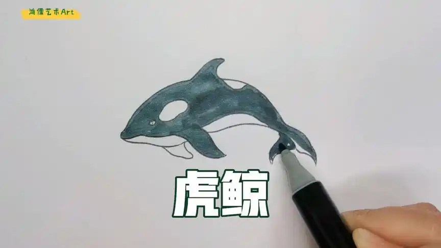 虎鲸简笔画法,一起试试吧-母婴亲子视频-搜狐视频