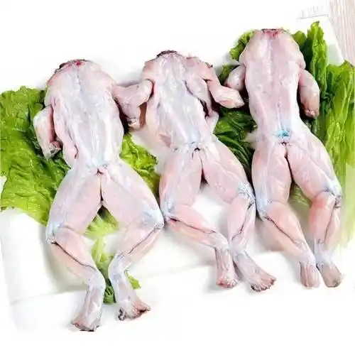 活杀牛蛙 新鲜配送 3斤装包邮视频介绍_活杀牛蛙 新鲜配送 3斤装包邮