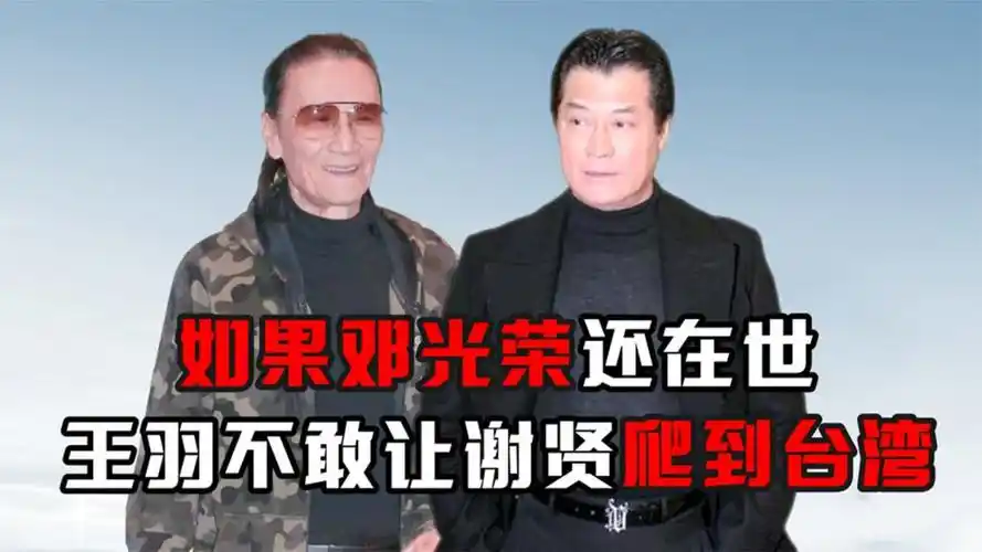 如果邓光荣还在世,王羽还敢喊话谢贤:让其爬到台湾来见自己吗