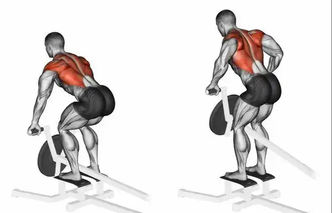 斜方肌的锻炼方法做好4个器械动作增加上背部肌肉厚度