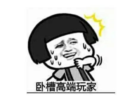 卧槽高端玩家表情包 - 日常表情包