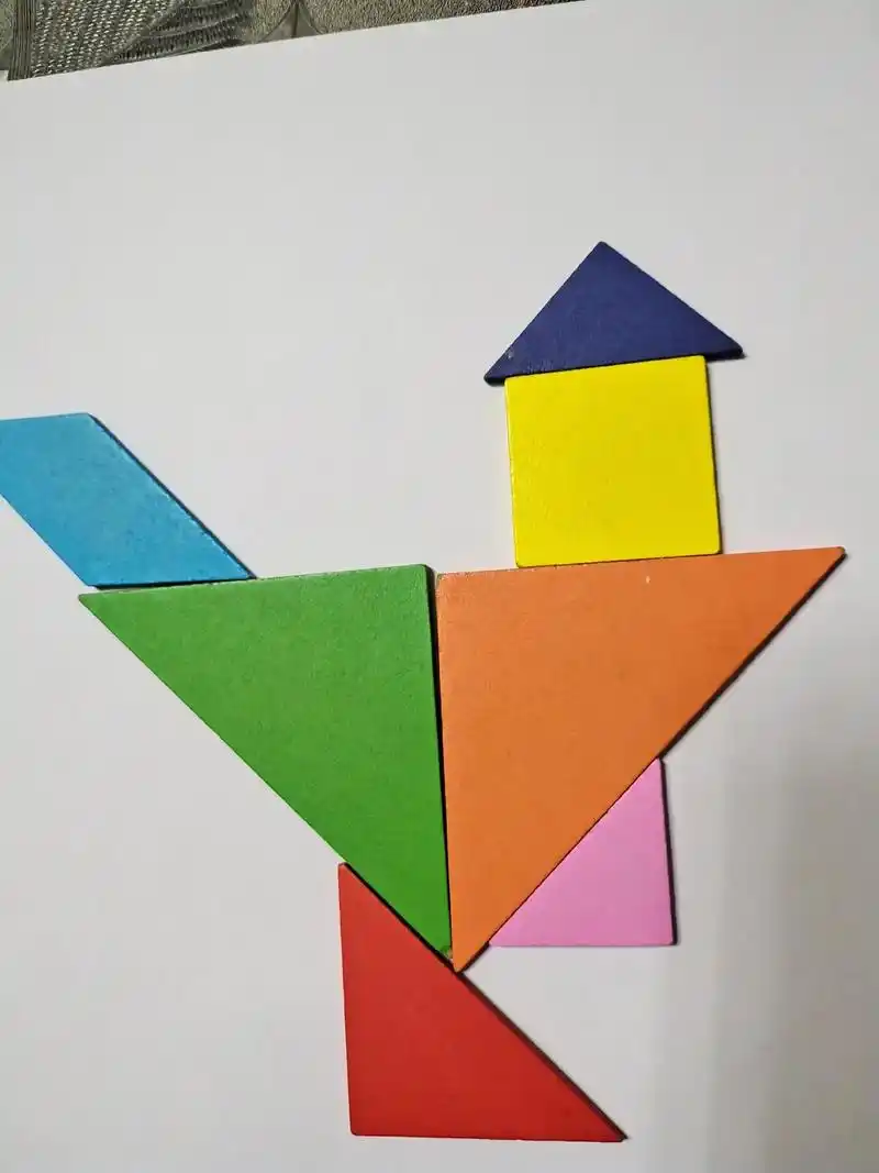 儿子用七巧板拼的图案 - 抖音