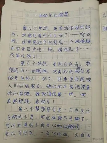 小蜜蜂中队《一支笔的梦想》(续写)