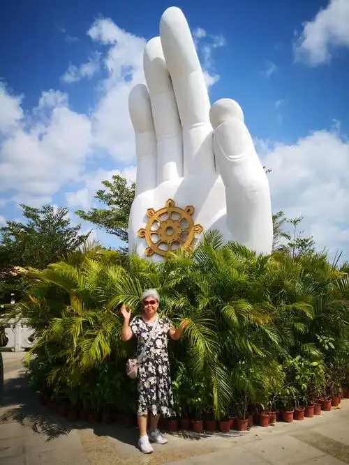 这个佛手好像也是新的