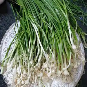 新鲜苦藠小根蒜团葱苦芥苦叫小蒜头四川茭头野生葱头薤白500g包邮