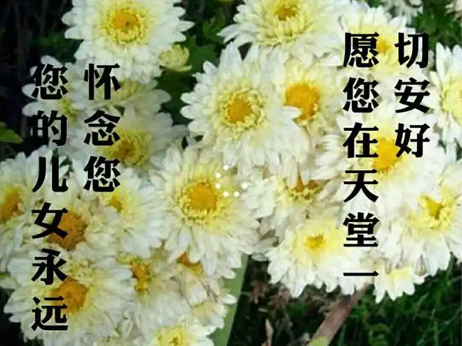 想念逝去的父亲的诗句