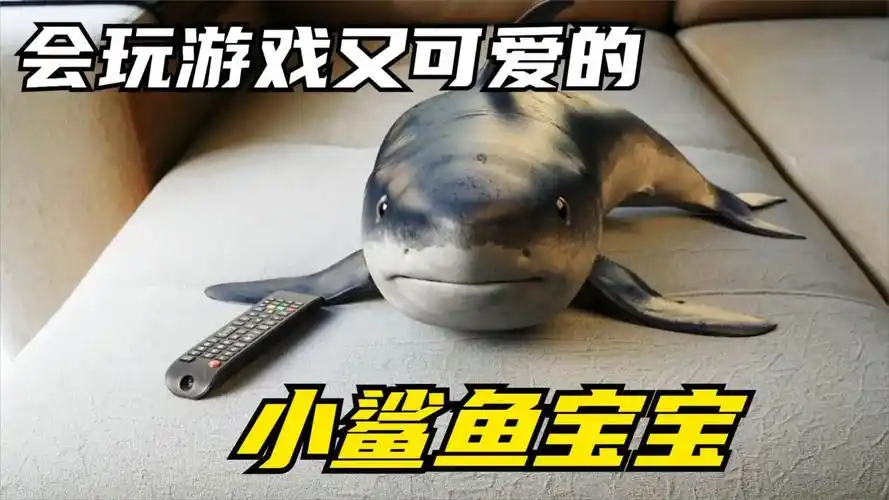 会玩游戏又可爱的小鲨鱼宝宝,你想不想要养一只呢?