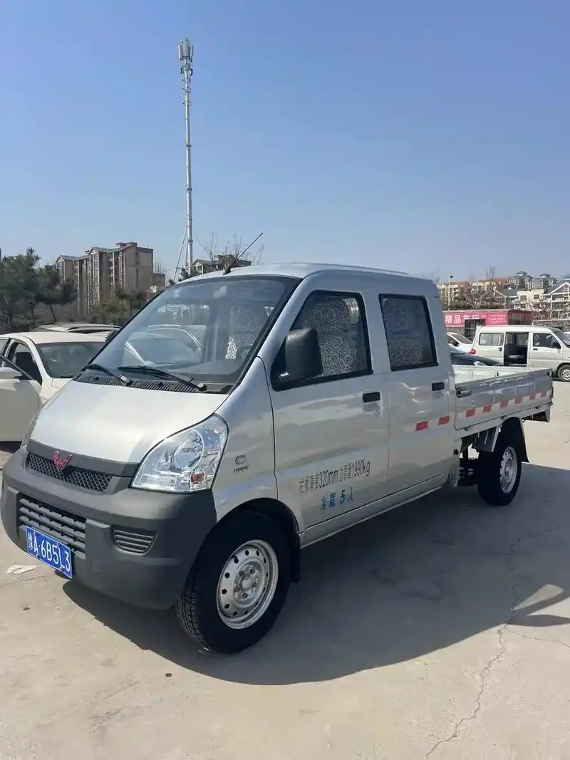 5l排量.#同城二手车 #五菱双排