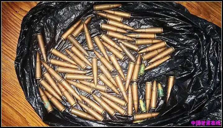 武都区公安局打击整治枪支爆炸物品专项行动成效明显