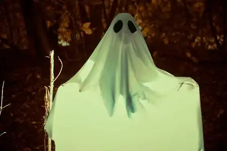 床单幽灵森林里的鬼魂照片