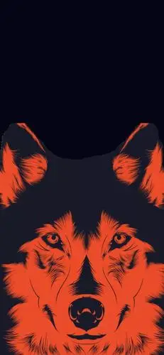 个性潮酷全面屏壁纸:文字,动漫……