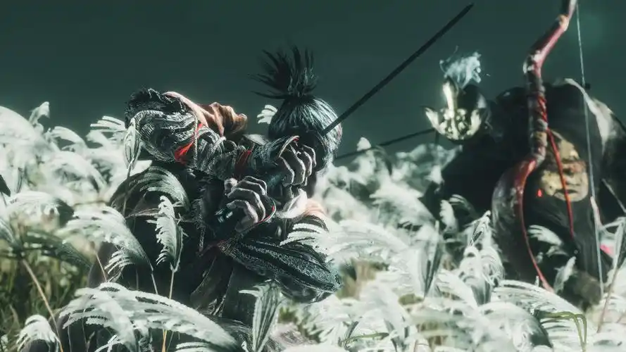 只狼影逝二度自摄影壁纸级截图分享第一期