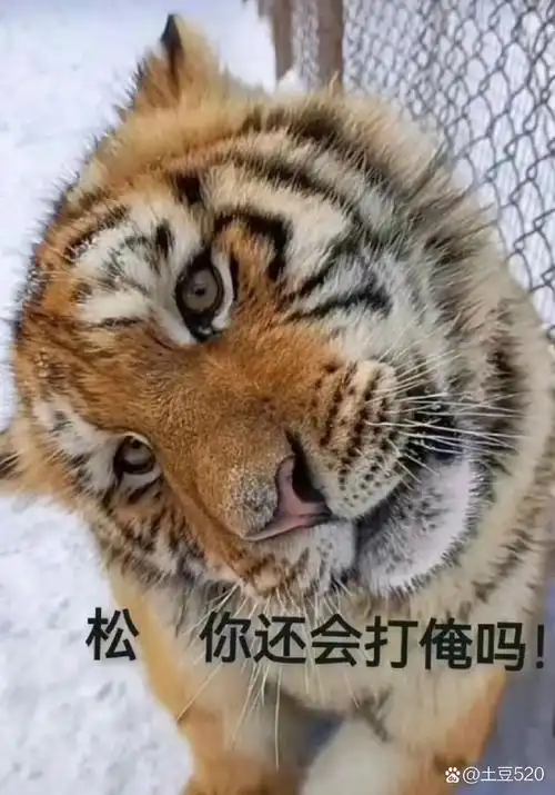 前几日量的血压有点点偏高,赶紧舞起跳绳,完成今日