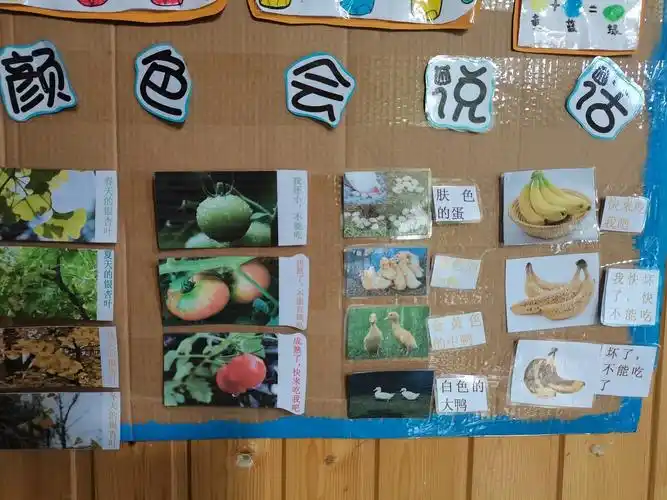 这是颜色在说话主题墙,告诉我们颜色变化的不同意义