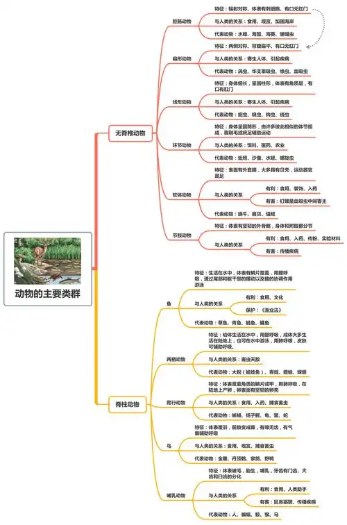 八年级上册生物人教版思维导图pdf