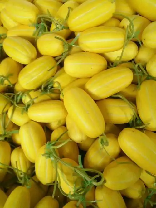 寻找收购鲁厚甜洋香瓜甜瓜客商超市