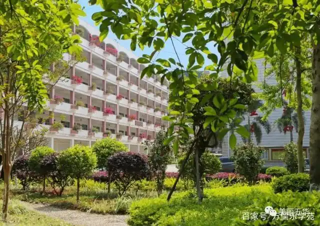 广东省一级学校—五华县田家炳中学