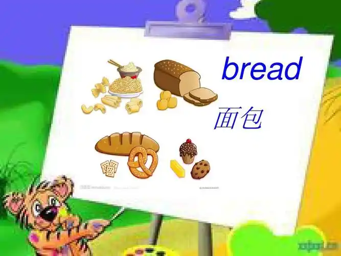 bread 面包