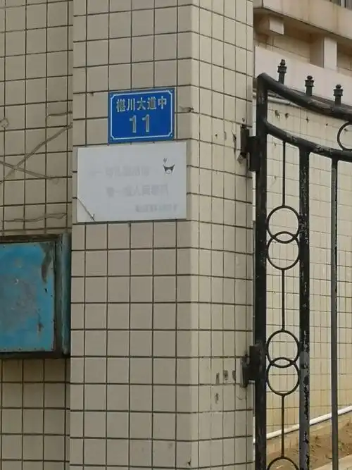 脑残的湛江门牌号