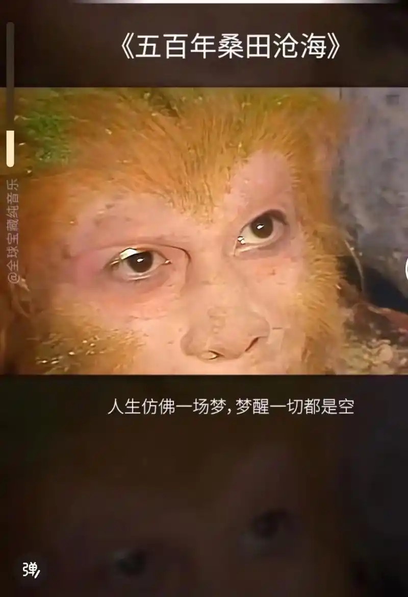 eva泡棉发泡雕刻冷热压异型切割加工成型.一个人的通透,是经 - 抖音