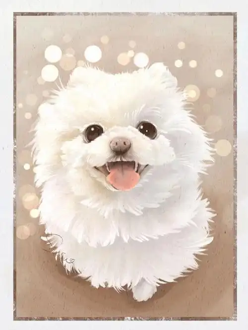 ipad板绘一只博美犬