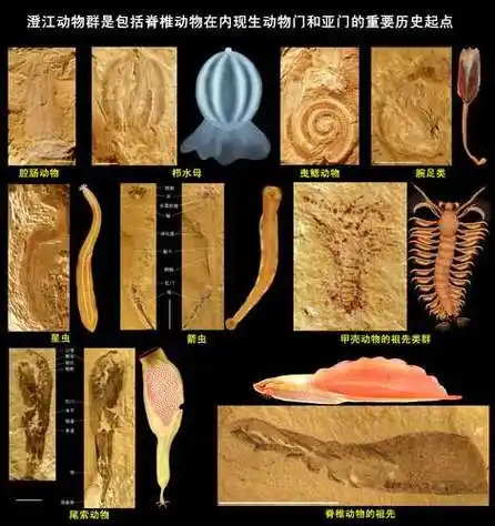 chengjiang biota