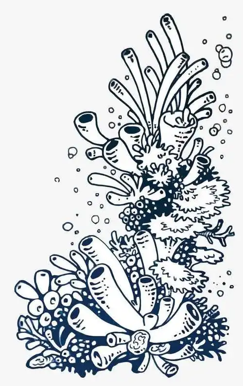 珊瑚的图片大全手绘 珊瑚礁手绘-图片大观-奇异网