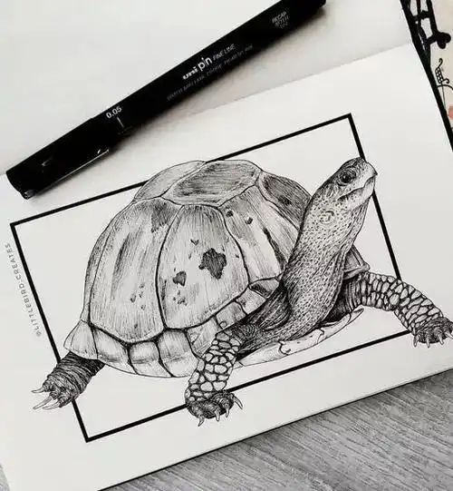 写实动物黑白插画作品赏析