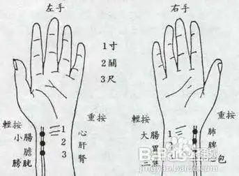3  左手脉的寸关尺对应肾阳,肝,心,右手对应的是肺,脾,肾阴.