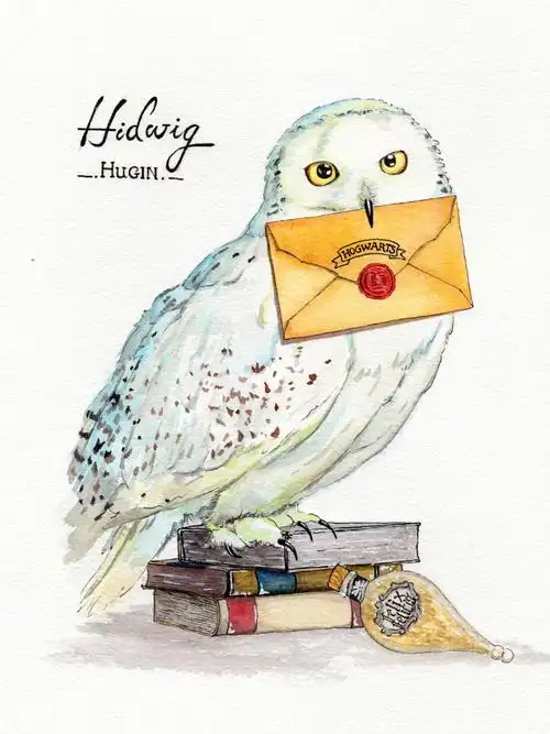 钢笔淡彩17哈利波特海德薇hidwig