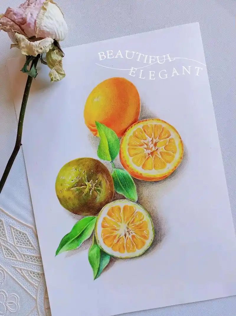 彩铅手绘  橙子.(巨量算数)零基础都可以学的彩铅画,喜欢画 - 抖音