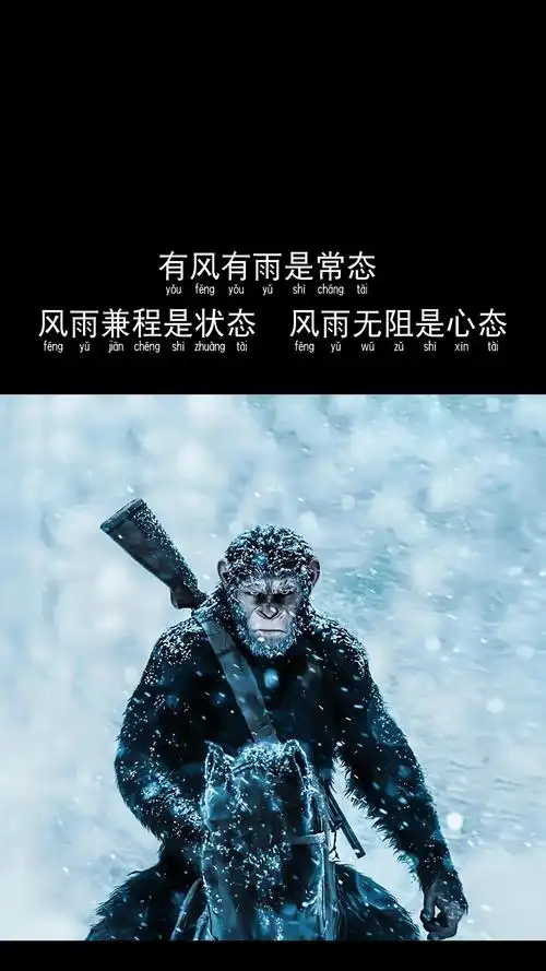 让你瞬间清醒的九句话 值得收藏一生