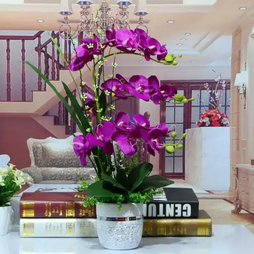 哪些花适合摆放客厅『哪些花适合摆放客厅风水好』