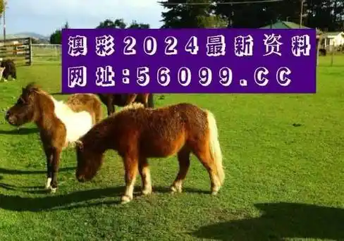 (秒懂经验)王中王资料大全枓大全正下载地址