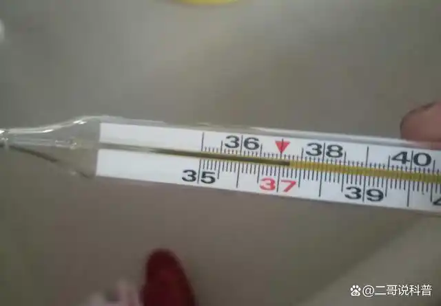 在当下,面对病毒,人们对自己的体温更加关注.