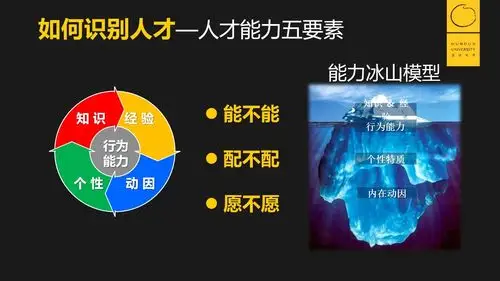 高能人才识别与培养