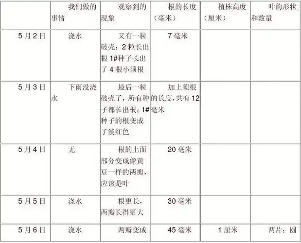 凤仙花的生长变化表