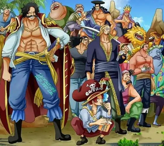 海贼王:破解洛克斯陨落之谜,深析社会狼性竞争双刃剑_网易订阅