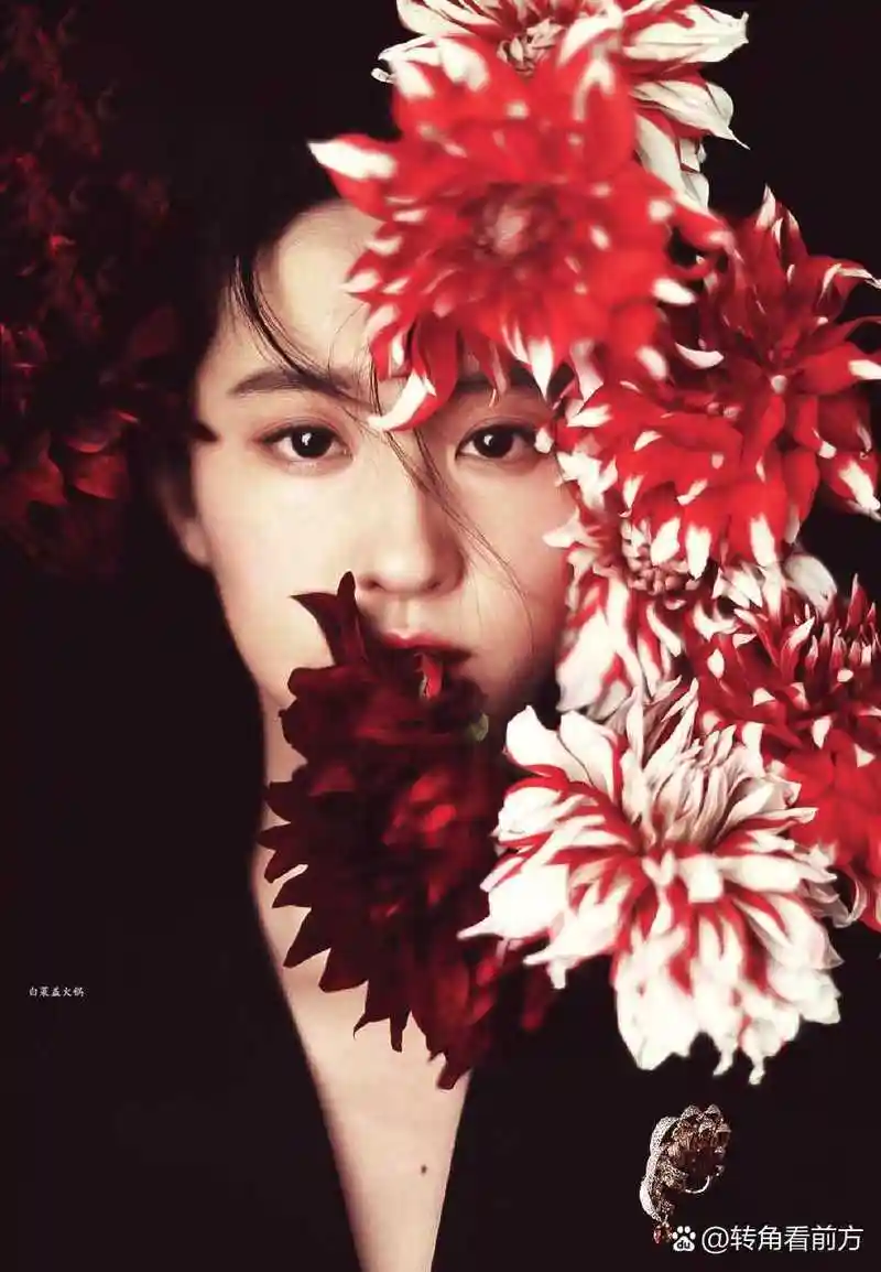 刘亦菲拍摄杂志嘉人图片赏析第二波#刘亦菲