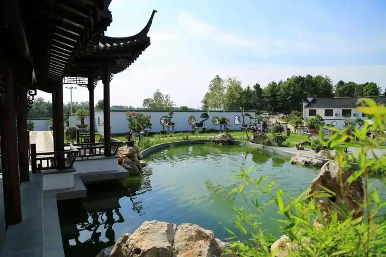 不要这么美,舒城荷花堰生态风情园!