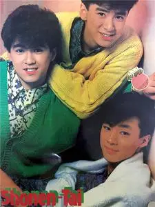 明星收藏 老海报 画报 挂历 日本明星 少年队 过胶老海报